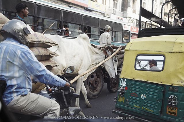 india_38.jpg